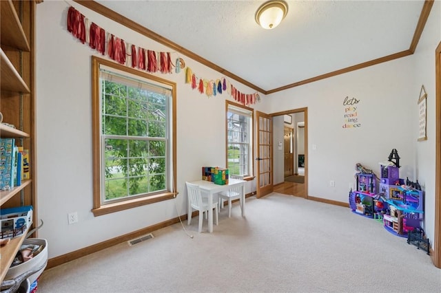 1016 Noble Pine Ct, Trafford, PA 15085 - rec room with ornamental molding, carpet flooring, plenty of natural light, baseboards, and a textured ceiling