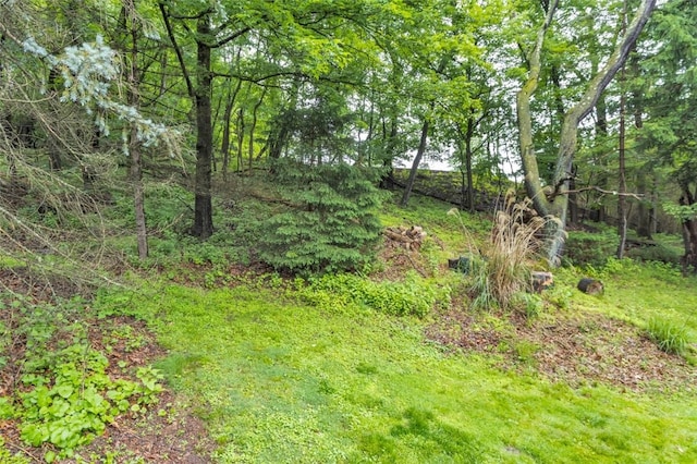 3124 Antheo Ct, Murrysville, PA 15668 - photo 39