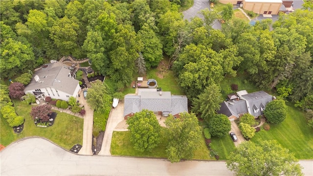 3124 Antheo Ct, Murrysville, PA 15668 - photo 41