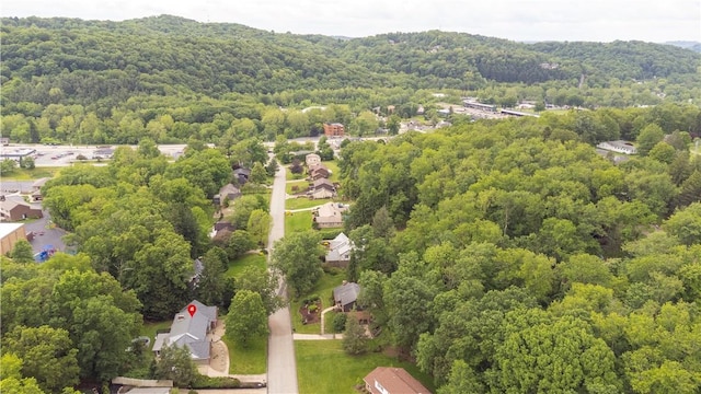 3124 Antheo Ct, Murrysville, PA 15668 - photo 44