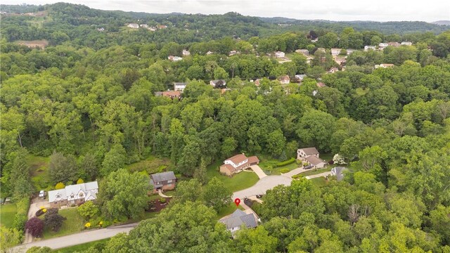 3124 Antheo Ct, Murrysville, PA 15668 - photo 47