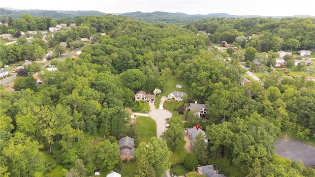 3124 Antheo Ct, Murrysville, PA 15668 - photo 48