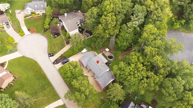 3124 Antheo Ct, Murrysville, PA 15668 - photo 49