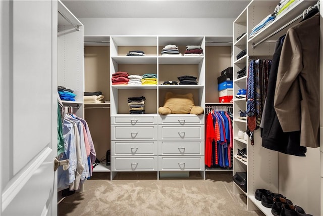 1272 Mcewen Rd, Cecil, PA 15317 - spacious closet with carpet flooring