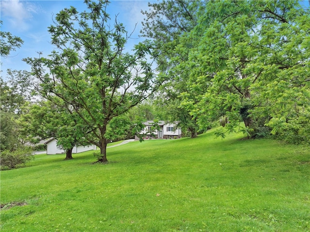406 Maple Dr, Irwin, PA 15617 - view of green lawn