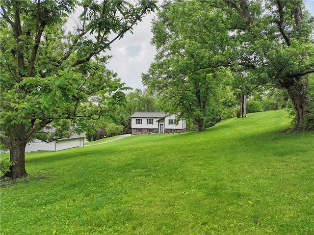 406 Maple Dr, Irwin, PA 15617 - view of grassy yard