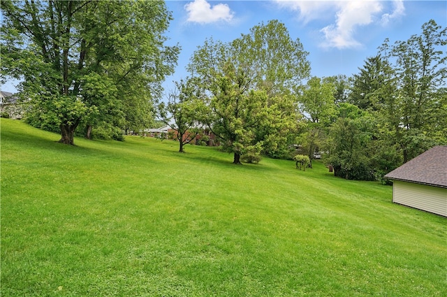 406 Maple Dr, Irwin, PA 15617 - view of grassy yard