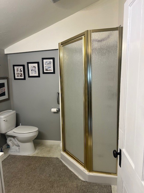 11863 Lakeview, Conneaut Lake Cra, PA 16316 - bathroom with toilet, vaulted ceiling, and a stall shower