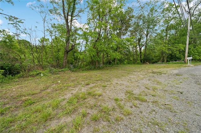 1967 Rostraver, Rostraver, PA 15012 - view of yard featuring a wooded view