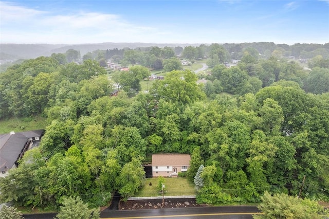 803 E Arcadia Dr, Mccandless, PA 15237 - drone / aerial view of a forest
