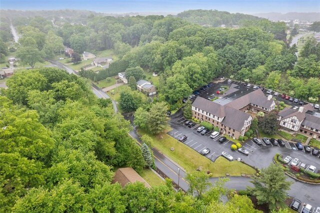 803 E Arcadia Dr, Mccandless, PA 15237 - bird's eye view of a forest