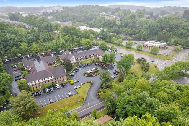 803 E Arcadia Dr, Mccandless, PA 15237 - bird's eye view of a forest