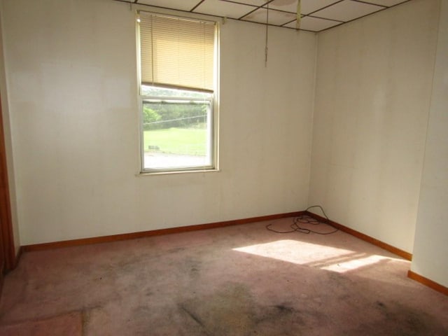 1214 1/2 3rd St, Mckees Rocks, PA 15136 - empty room featuring baseboards, carpet flooring, and a paneled ceiling