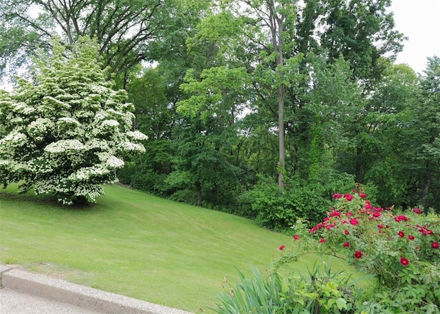 1107 Croxall Ave, Hopewell Twp Bea, PA 15001 - view of green lawn