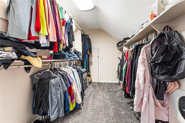 1900 Ardmore Blvd, Forest Hills Boro, PA 15221 - walk in closet featuring lofted ceiling and carpet