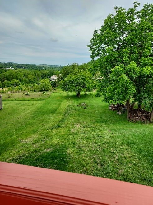 1046 Elicker Rd, Plum Boro, PA 15068 - view of green lawn
