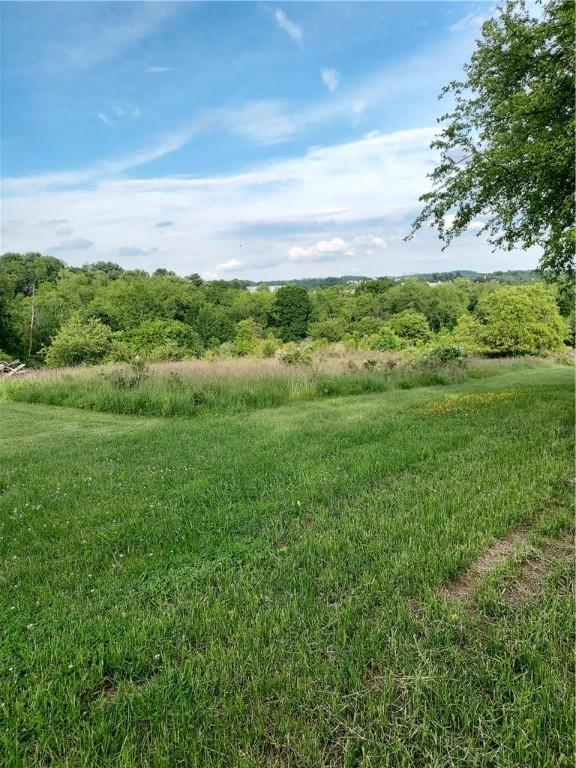 1046 Elicker Rd, Plum Boro, PA 15068 - view of nature