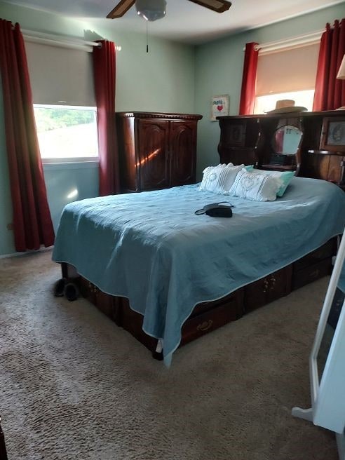 1046 Elicker Rd, Plum Boro, PA 15068 - bedroom featuring carpet and ceiling fan