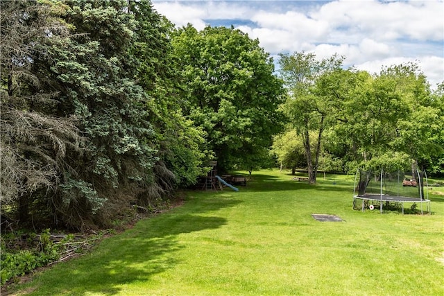 229 Holyoke Rd, Center Twp But, PA 16001 - view of green lawn featuring a trampoline
