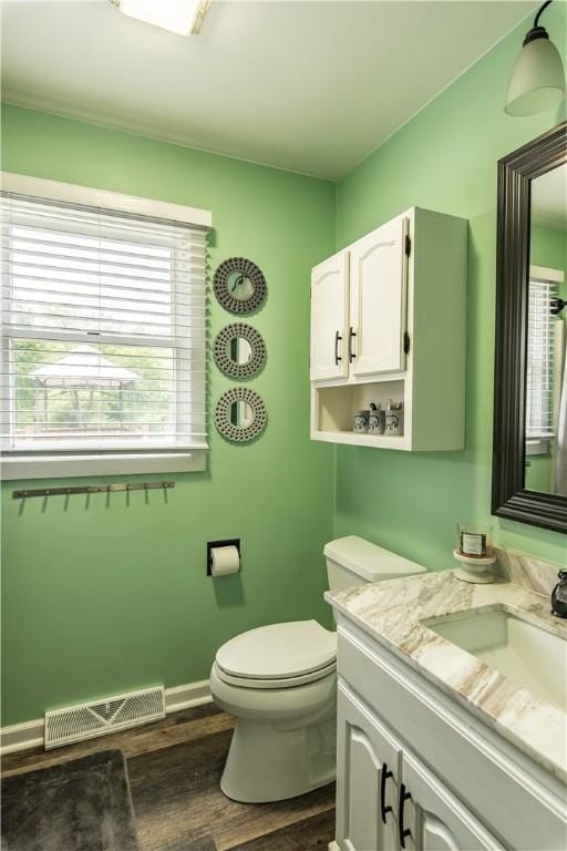 229 Holyoke Rd, Center Twp But, PA 16001 - bathroom with wood finished floors, vanity, plenty of natural light, and toilet
