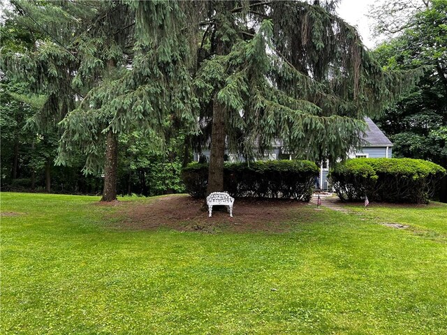 822 Persimmon Rd, Sewickley Heights, PA 15143 - photo 25