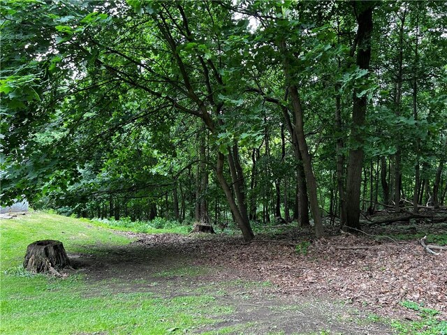 822 Persimmon Rd, Sewickley Heights, PA 15143 - photo 27