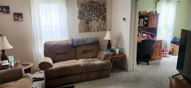 117 Glen Ave, Ellwood City Law, PA 16117 - carpeted living area featuring plenty of natural light