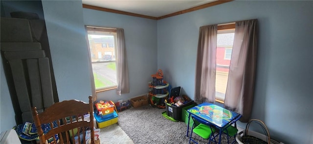 117 Glen Ave, Ellwood City Law, PA 16117 - game room featuring carpet flooring and crown molding