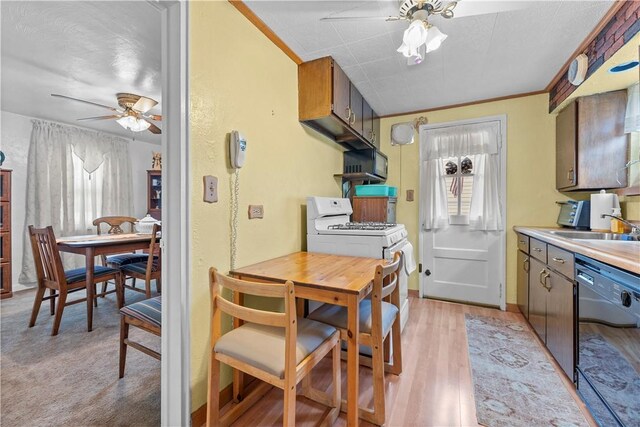 922 Bower Hill Rd, Mt Lebanon, PA 15243 - kitchen with black appliances, a ceiling fan, light countertops, and light wood-style flooring