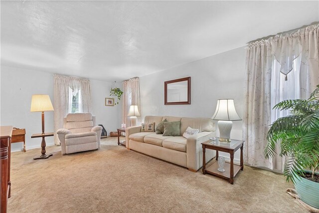 922 Bower Hill Rd, Mt Lebanon, PA 15243 - view of carpeted living room