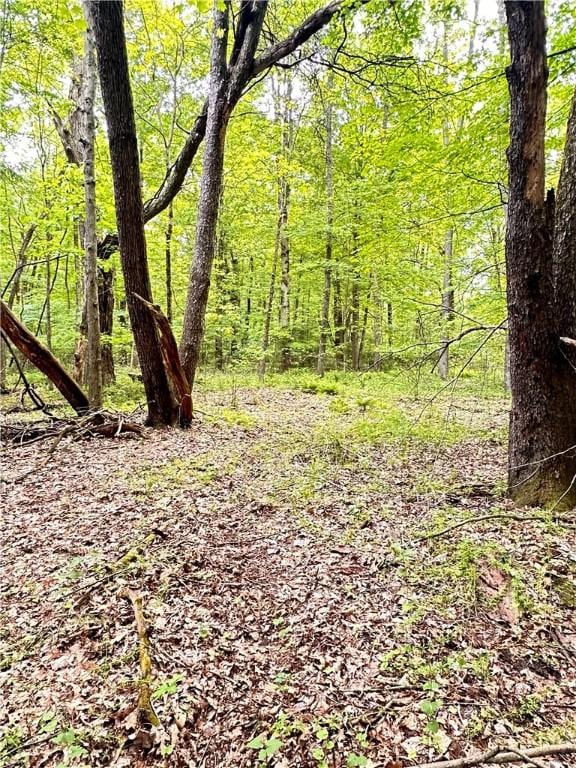 286 W Jamestown Rd, Greenville Boro Mer, PA 16125 - photo 37