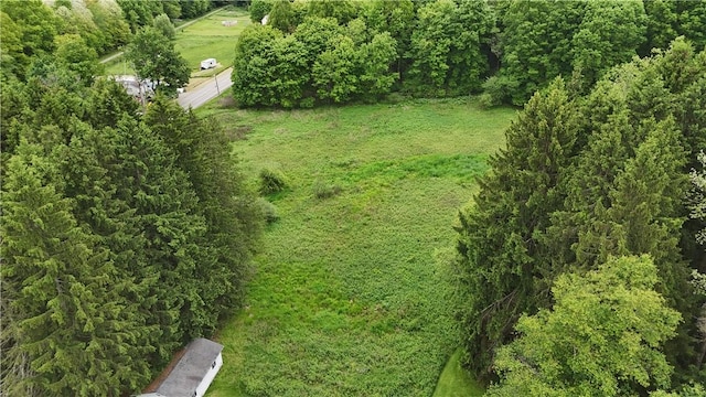 286 W Jamestown Rd, Greenville Boro Mer, PA 16125 - photo 42