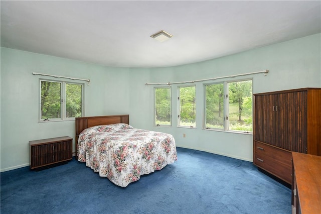 541 W Danville Rd, Oakland Twp, PA 16025 - carpeted bedroom with baseboards and radiator heating unit