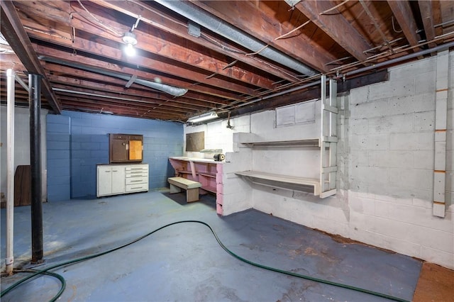 541 W Danville Rd, Oakland Twp, PA 16025 - unfinished basement featuring a workshop area