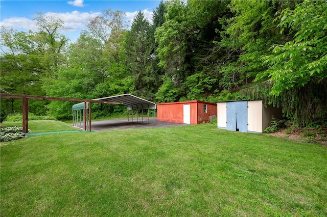 541 W Danville Rd, Oakland Twp, PA 16025 - view of grassy yard featuring driveway and a detached carport