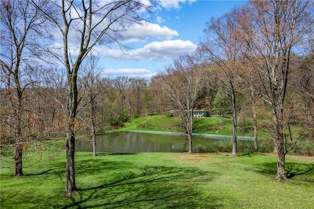 541 W Danville Rd, Oakland Twp, PA 16025 - view of green lawn with a water view and a forest view