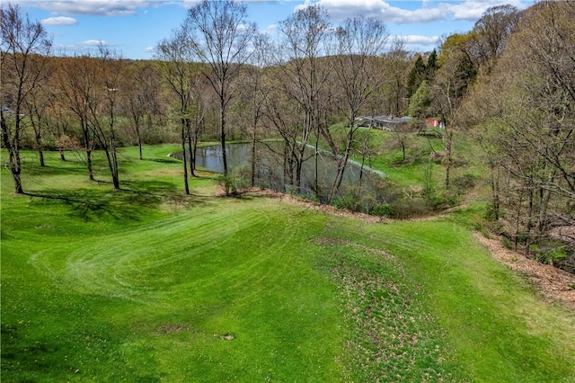 541 W Danville Rd, Oakland Twp, PA 16025 - view of green lawn with a water view