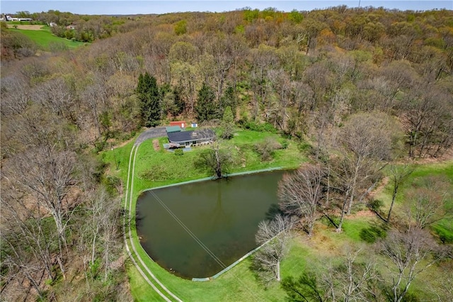 541 W Danville Rd, Oakland Twp, PA 16025 - view of subject property with a large body of water and a forest