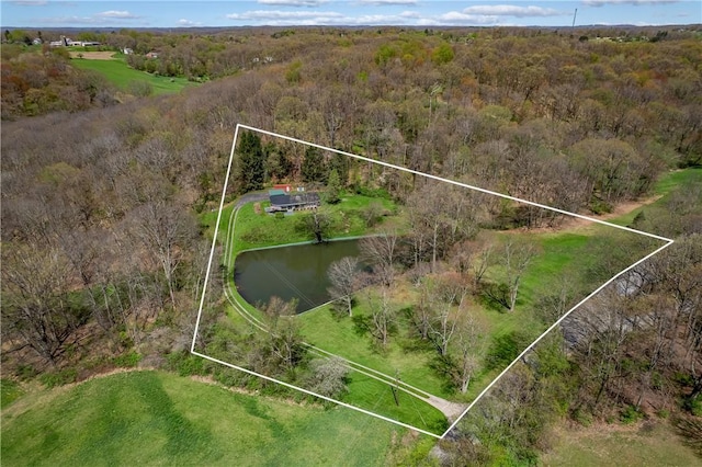 541 W Danville Rd, Oakland Twp, PA 16025 - view of property location with property boundaries highlighted, a forest, and a large body of water