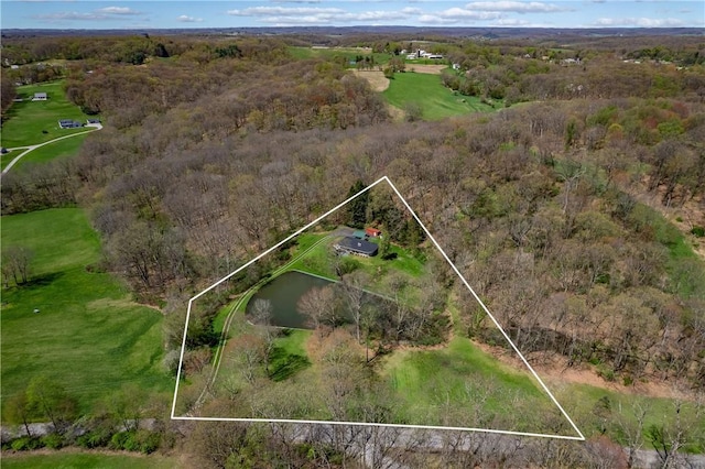 541 W Danville Rd, Oakland Twp, PA 16025 - aerial view of property's location featuring property parcel outlined, a forest, and a large body of water