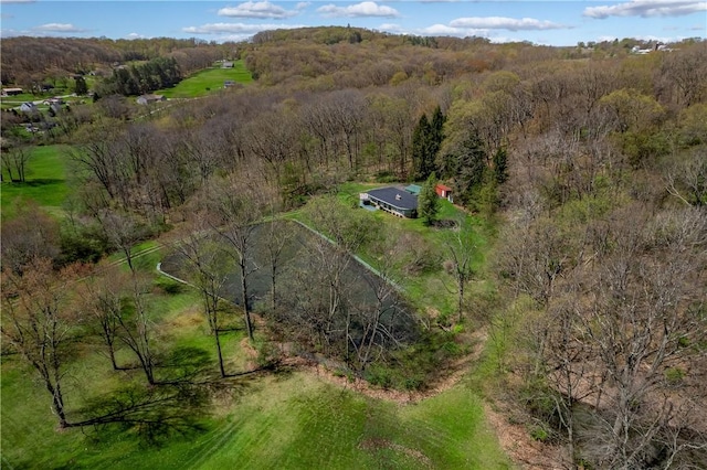 541 W Danville Rd, Oakland Twp, PA 16025 - aerial view of property and surrounding area featuring a forest