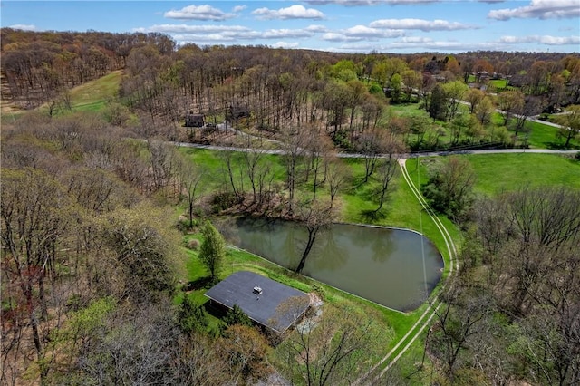 541 W Danville Rd, Oakland Twp, PA 16025 - drone / aerial view of a nearby body of water and a forest