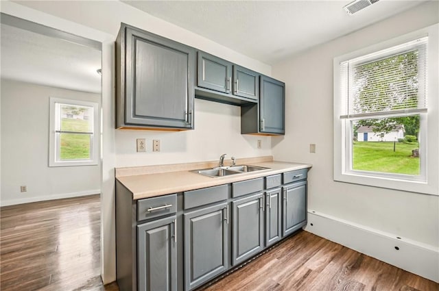 256 Marshall St, Hermitage, PA 16148 - kitchen featuring a sink, wood finished floors, and plenty of natural light