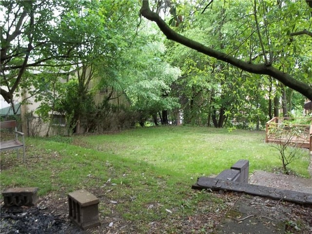 1545 Cooper Ave, Brighton Heights, PA 15212 - view of green lawn