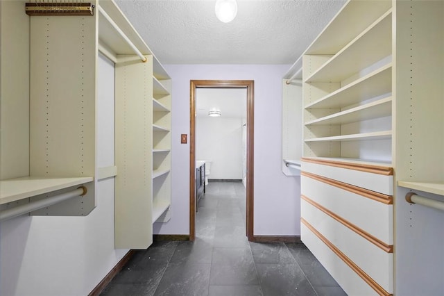 2465 Citation Ct, Franklin Park, PA 15090 - view of spacious closet
