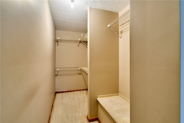 18 Giant Oak, Baden, PA 15005 - view of spacious closet