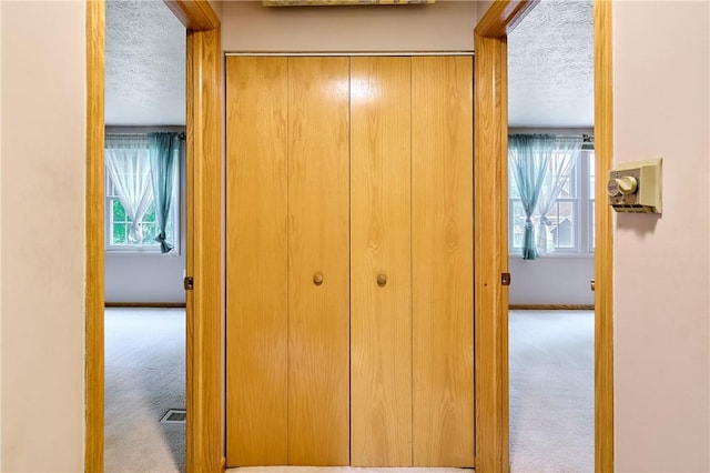 18 Giant Oak, Baden, PA 15005 - hallway featuring a textured ceiling, carpet, and baseboards