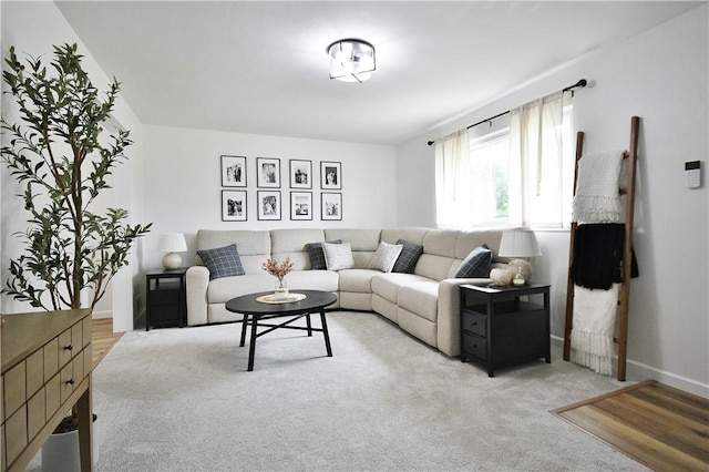 44 Eichelberger Dr, Robinson Twp Nwa, PA 15108 - carpeted living area with baseboards