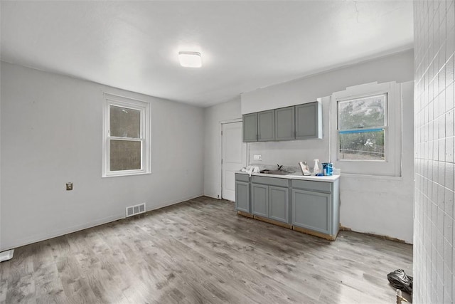 224 Moye Pl, Mount Oliver, PA 15210 - kitchen featuring gray cabinets, light wood-type flooring, and plenty of natural light