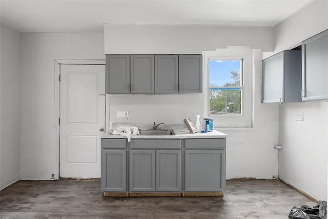 224 Moye Pl, Mount Oliver, PA 15210 - kitchen with gray cabinets, dark wood finished floors, a sink, and light countertops